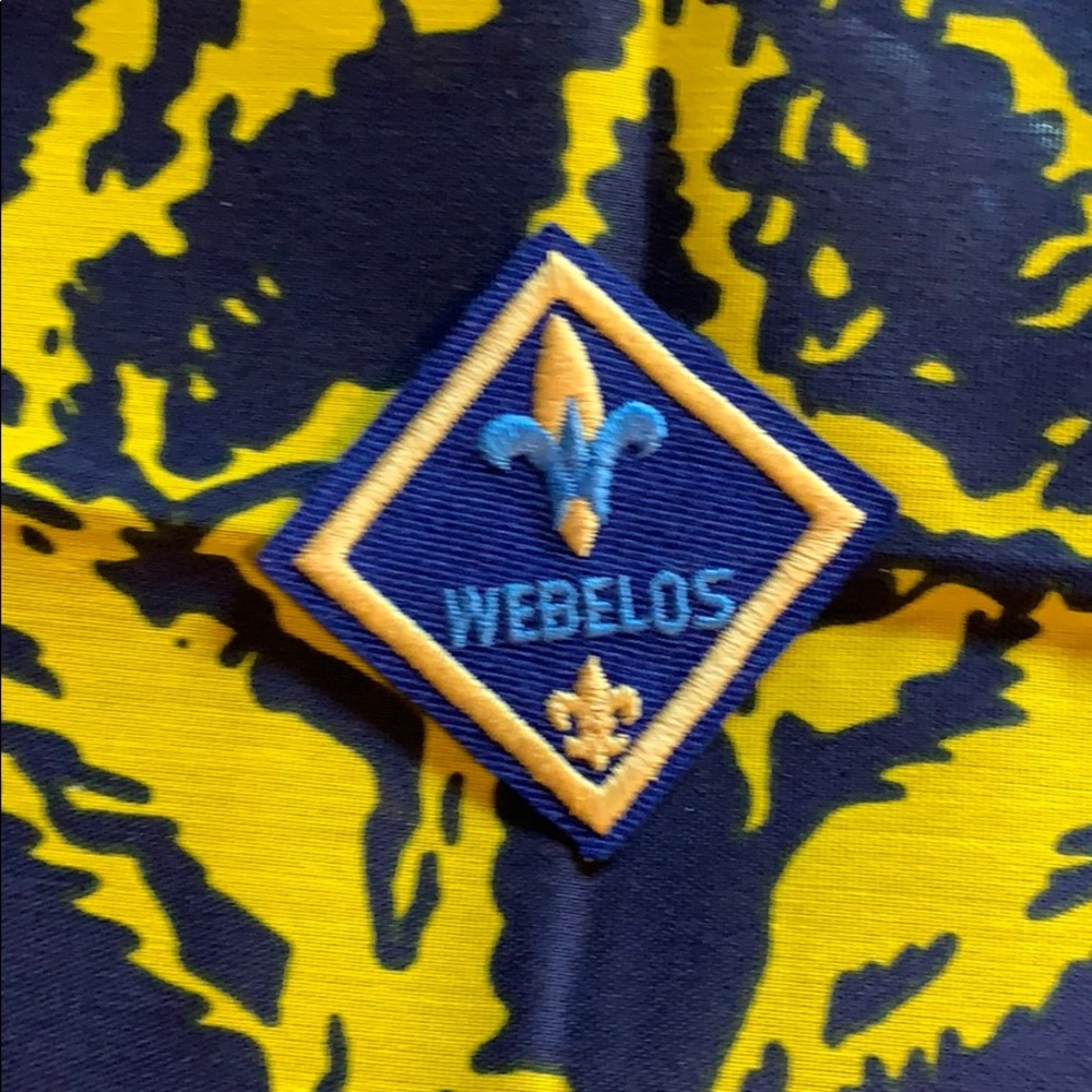 Webelos cub boy Girl Scout patch